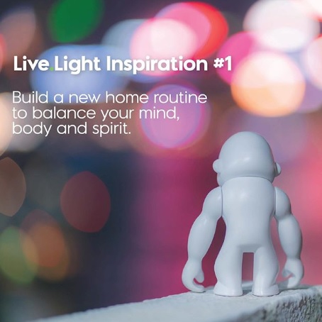 KiplingJapan's tweet image. まだまだ自粛生活が続きますね。

大切なことにフォーカスして、心と体のバランスを保つための新しい日常のルーティンを心がけましょう。

皆さまの安全を願っております。

#キプリング #Kipling #kiplinglivelight #StaySafe #StayStrong #StayHome #WorkFromHome #ステイホーム #家で過ごそう