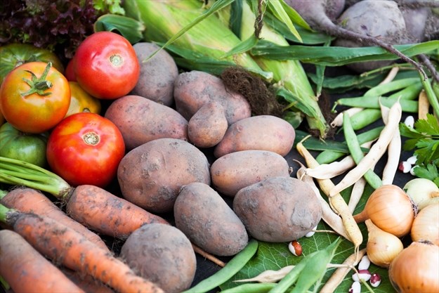 #homegrown Here are a few online resources to help you nurture your vegetables through the next few months and ensure a bountiful harvest. #growyourown #growyourfood #veggiegardening #COVID19 #coronavirus torstar.co/8ttn50zyBHs