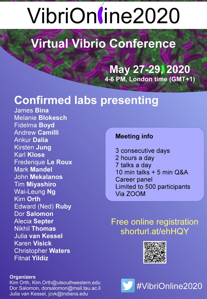 Dor Salomon tweet media