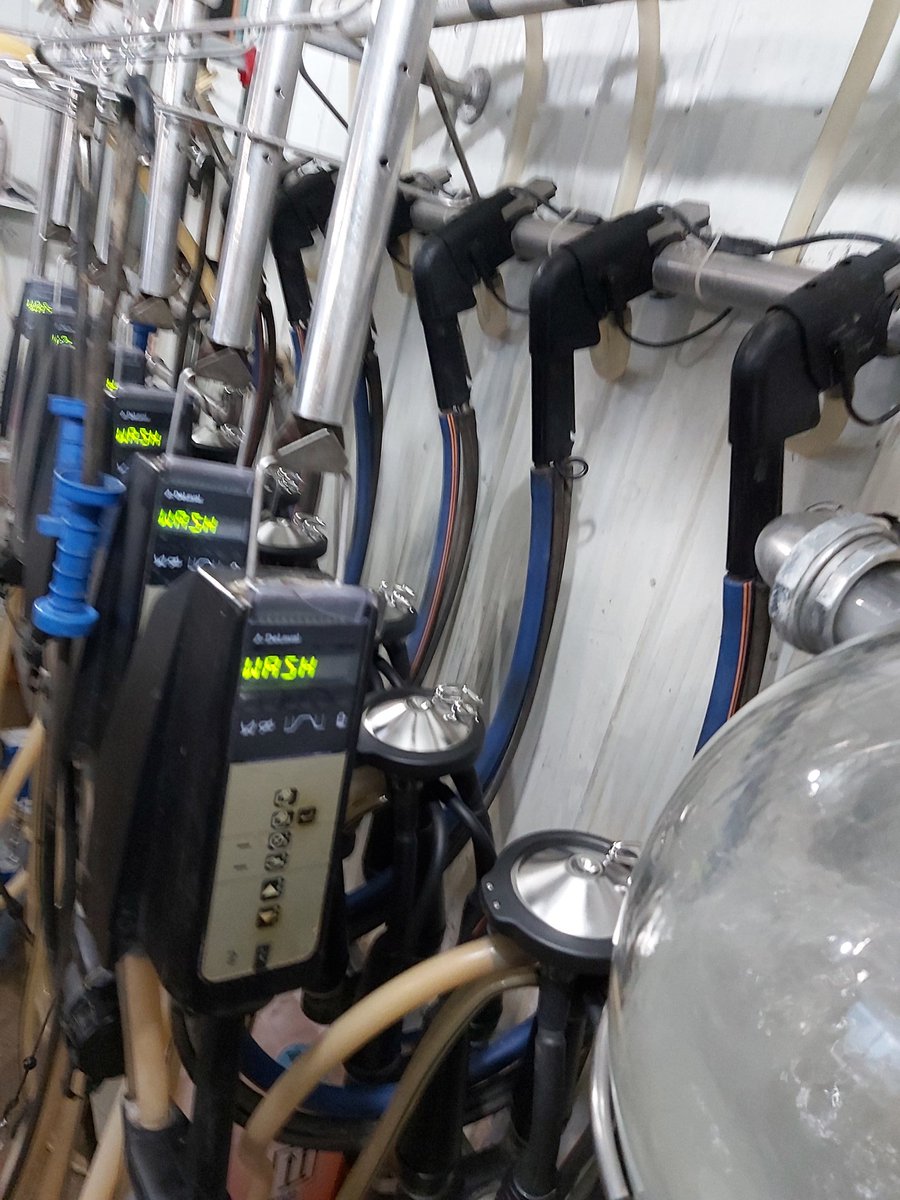 BrubakerDan's tweet photo. Another 6 Evanza claws being milked at a tiestall this morning @NorwellDairy @DeLavalCanada #dairydonewell https://t.co/UP9PnFPX6e