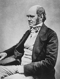Bom Charles Darwin (1809 - 1882) era um nobre inglês, minimamente religioso durante maior parte de sua vida, e extremamente curioso sobre a natureza sendo responsável por propor junto a Wallace a teoria da seleção natural.
