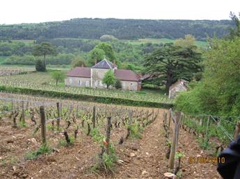 mon_viti's tweet photo. *️⃣ #Bourgogne 
Record de précocité pour la #vigne et un marché très perturbé
La pousse de la #vigne a trois semaines d'avance ❗❗❗
➡️https://t.co/r8mqRvk2HJ
#WineMorning ☕⏰ #LaVigneContinue https://t.co/WMC2nTya0O