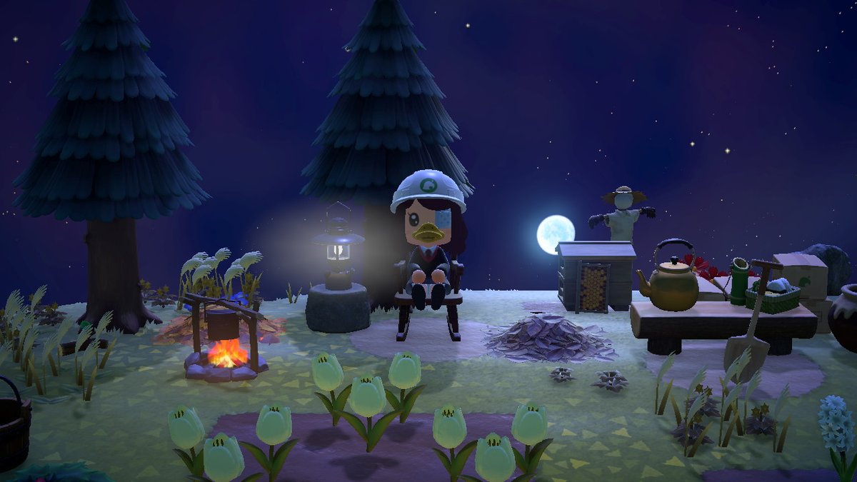 shymi（・Θ・） tweet media