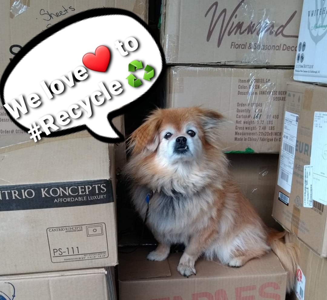 HalifaxJunk's tweet photo. We pride ourselves on being #ecofriendly ๐ & Jesse does too ! Now that you have more time at home, is there items that need sorting you don't want?
We can pick up your #junk & it's gone like magic ๐& you have more space & know it's not going to a landfill.
#junkworks #halifax https://t.co/fQ18u5WYEy