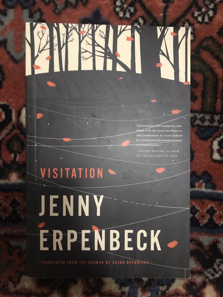 A truly perfect, intricate book about one lake in Brandenburg, taking you through all of the histories that have happened beside it. One of the best meditations on place I have ever read, and also a book that made me miss walking around lakes outside Berlin in February.