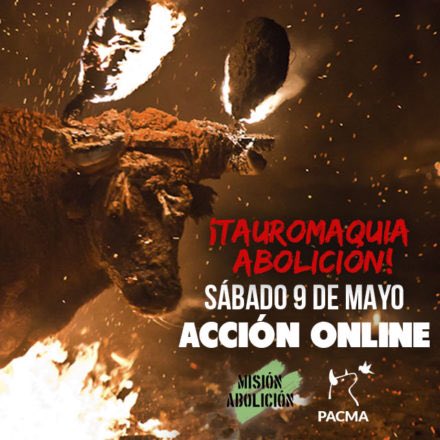IlhamMajure's tweet photo. Queremos la prohibición de esta lacra que nos avergüenza y que condena a la tortura y la muerte a decenas de miles de animales. https://t.co/TIBsMYx4Bp