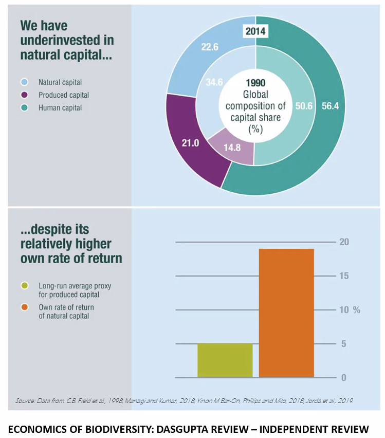 hollieboothie's tweet image. &quot;We have underinvested in #NaturalCapital despite the relatively higher #RateofReturn&quot; #biodiversityLSE #DasguptaReview @LSEpublicevents