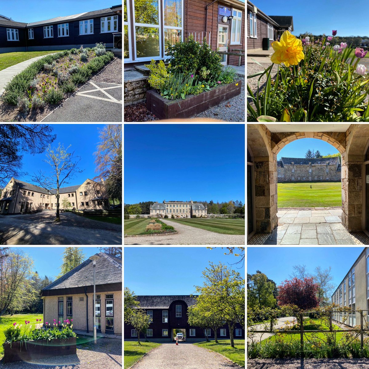 gordonstoun's tweet photo. Flowers and trees round the boarding houses on a blue sky day at Gordonstoun @DuffusHouse @brucehse @WindmillLodge @PlewlandsHouse @RoundSquareHse @HopemanHouse @AltyreHouse ☀️ https://t.co/2DYcywYeUx