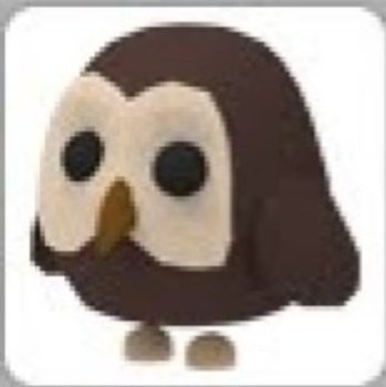 polinesi7's tweet photo. Still trading the legendarny owl pet!#adoptme #trading #legendary #Newsnight Im looking for a neon turtle or different pets https://t.co/ma0AGskfTY