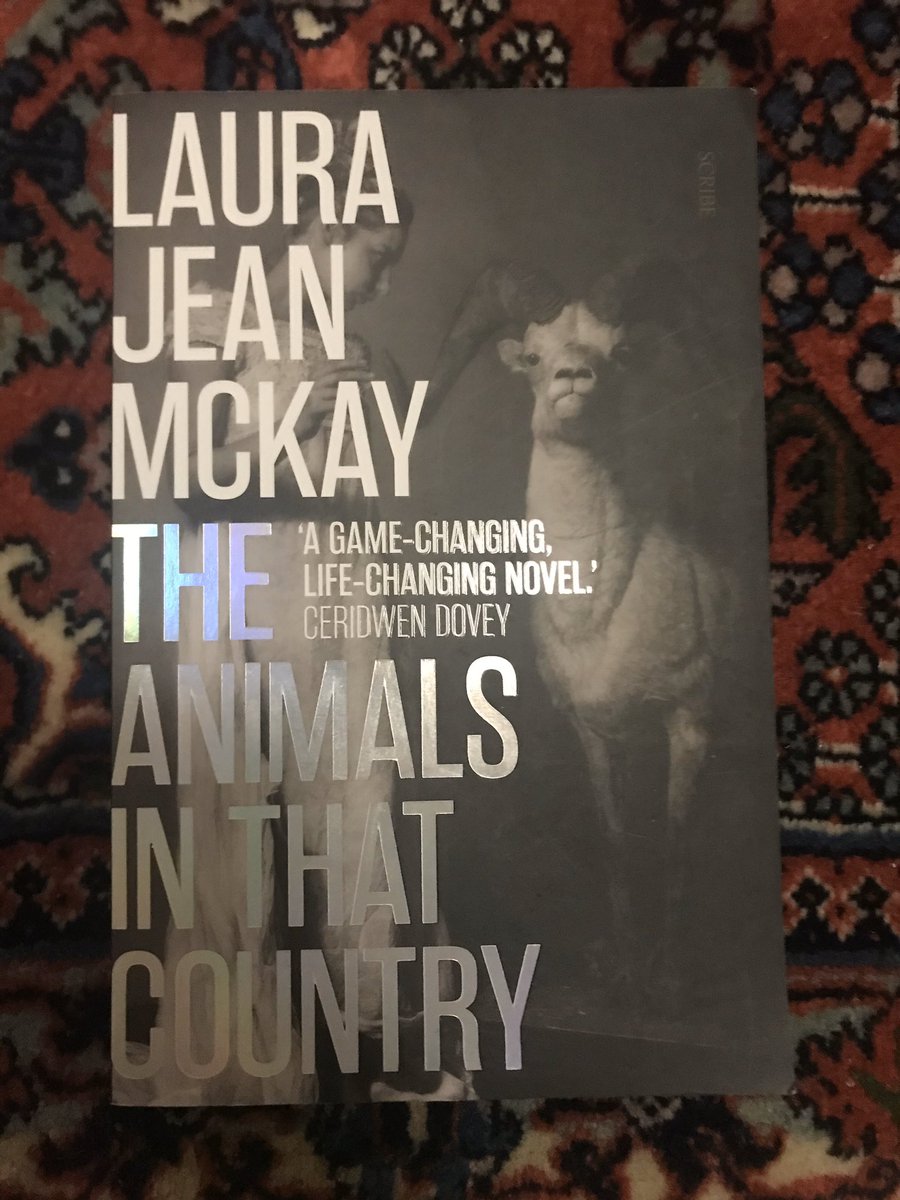 I was looking forward to  @laurajeanmckay’s debut for ages, and it was not disappointing. A world where animals and humans can communicate with one another. It is lovely! The animals speak in poetry! I was a terrible bore recounting the sayings of mice and horses and birds.