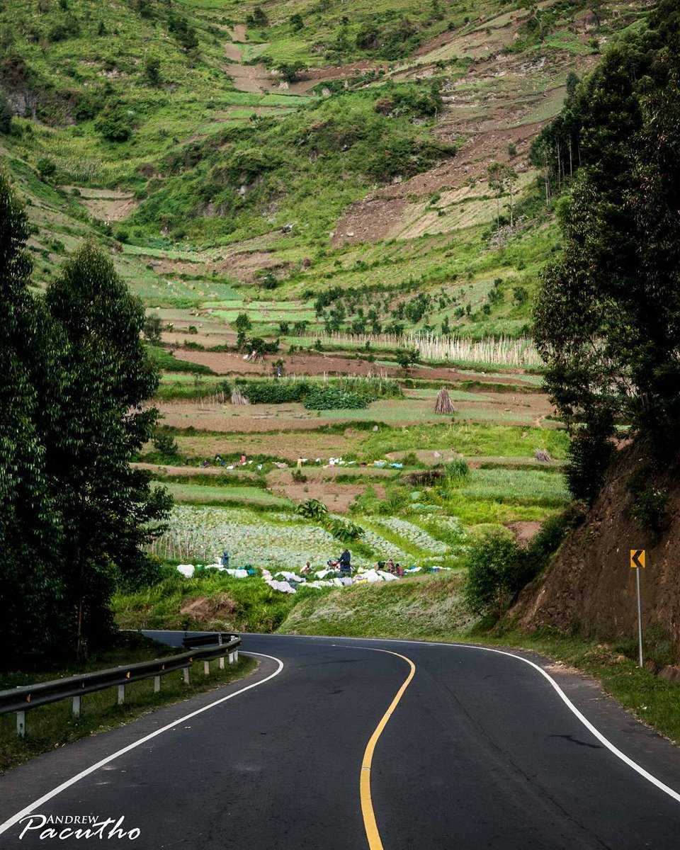 ugandapics_'s tweet photo. Kabale-Kisoro road. Photos by Andrew Pacutho https://t.co/vyWzg5tLqy
