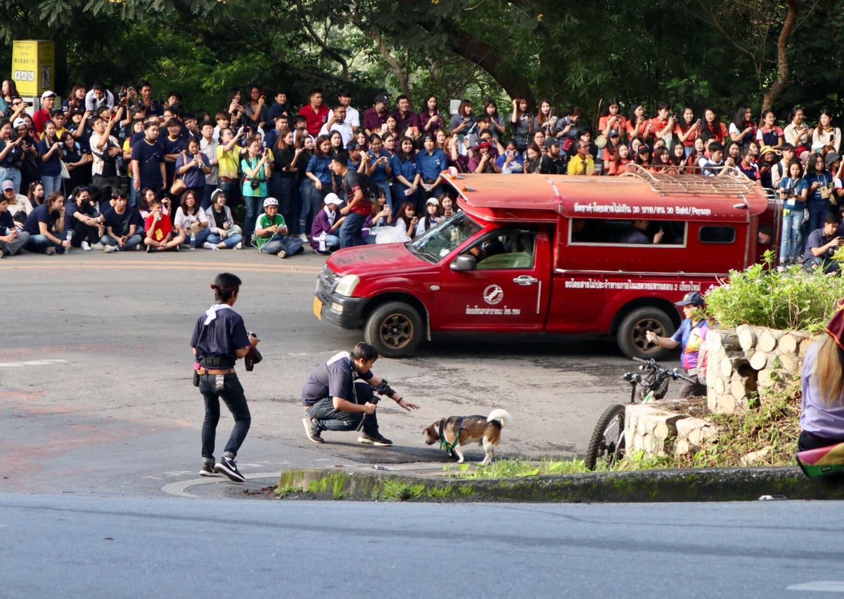 reviewchiangmai tweet picture