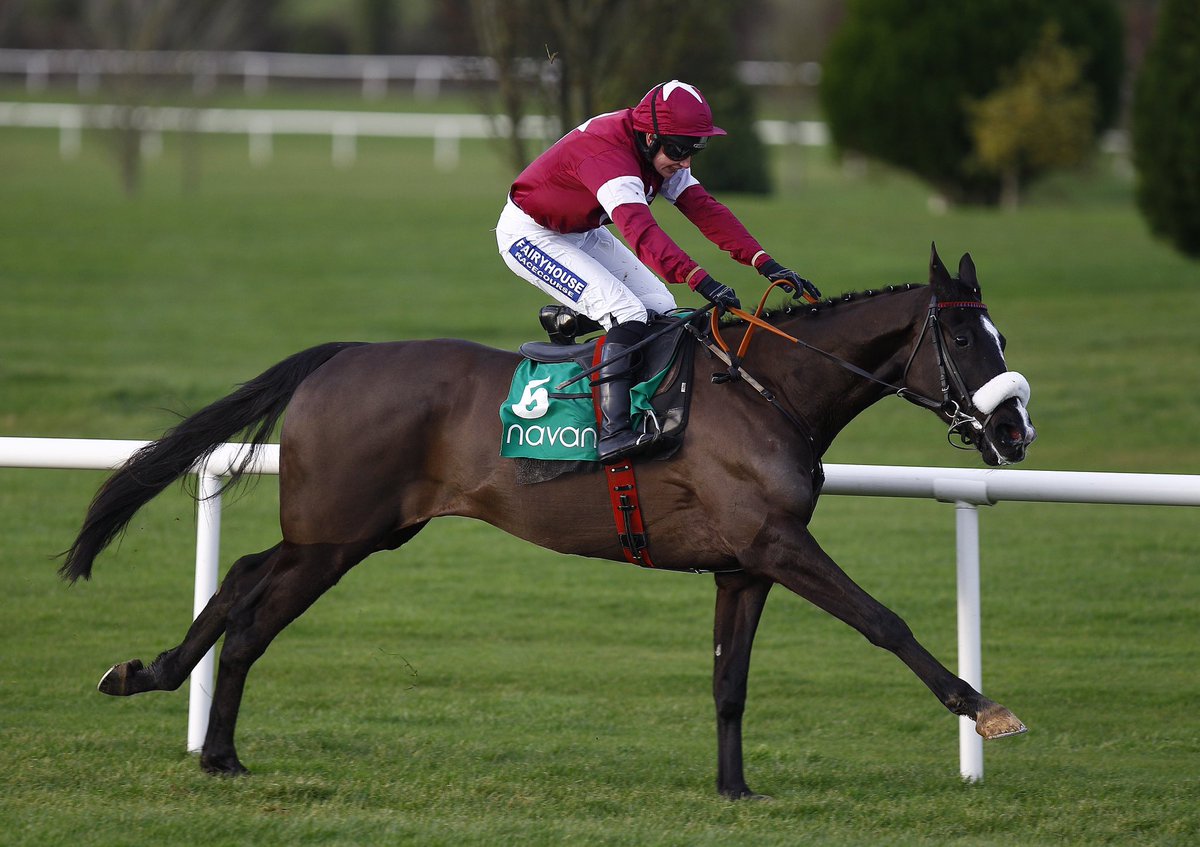 NavanRacecourse's tweet photo. A great #ReelingInTheRacingYears memory. We love this super pic of Don Cossack winning the Future Champions Bumper in Dec 2011 under @ninacarberry ♥️⭐️ He also won his Maiden Hurdle here a year later. #DonCossack #NavanRaces #WhereStarsAreBorn https://t.co/RG5vqBF7xM