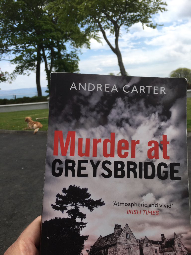 It’s time to get stuck into another @andysaibhcarter novel No4 in the collection “Murder at Greysbridge” #inishowenmysteries #localinterest #familiarplaces