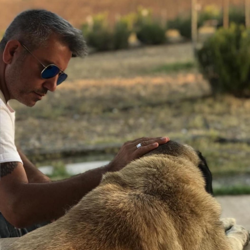 Sevmek bir eylemdir .
Peki , sevildiğini bilmek?
Sevgiyi anlayabilmek ?
Her canlı sevebilir...
Her canlı sevgiyi anlayamaz , kavrayamaz..
Kendine yönelik sevgi dolu bir tavrın , halis ya da art niyetli olup olmadığını ayırt edemez.
Sadece hayvanlar hemen hisseder ve ayırt eder.