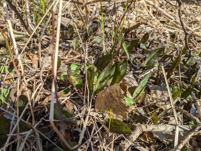 The Care for Life Project tweet media