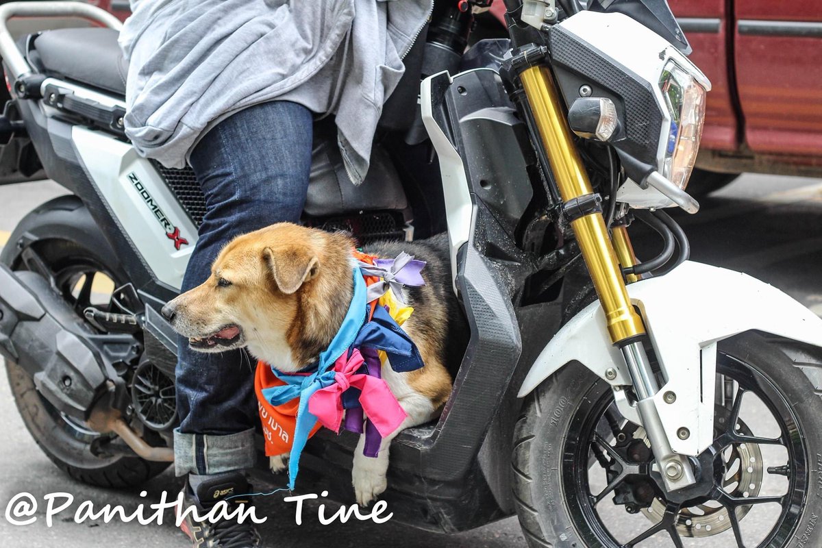 ขึ้นดอยครั้งหน้าจะไม่ได้เจอเตี้ยแล้ว บ้ายบายนะพี่เตี้ย🤍 #เตี้ยมช