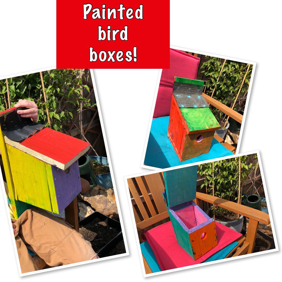 Webbwood1's tweet photo. We have finished making our bird boxes @AlbertPyeRavens https://t.co/72bgb3ArB9