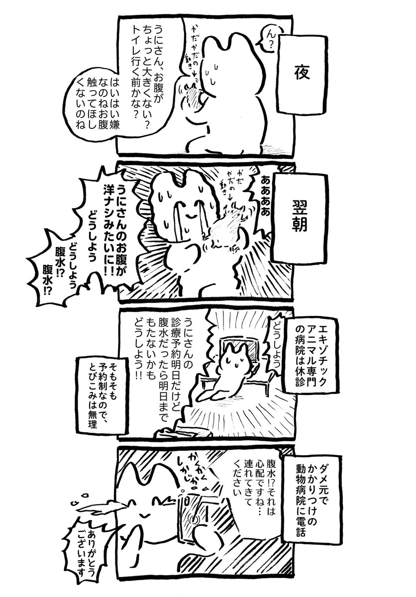 うにさんと私61  #うにさんと私 #創作漫画 #エッセイ漫画 