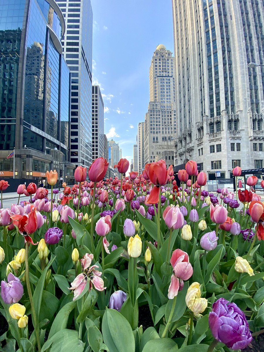 Blogatrixx® tweet media