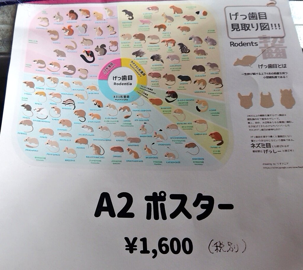 Hashtag リスの世界地図 Sur Twitter