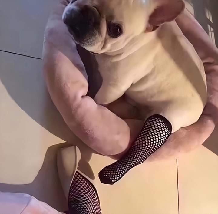 นุเซ้กซี่มั๊ยค่า