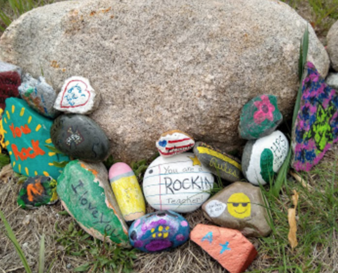 HollisPrimary's tweet photo. Thank you HPS Students and @HollisHawks for the wonderful rock garden! https://t.co/17UzPIa9sT