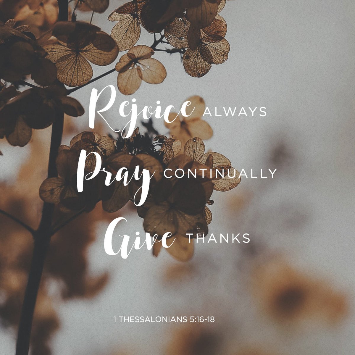 "Rejoice always. Pray continually. Give thanks." 
1 Thessalonians 5:16-18