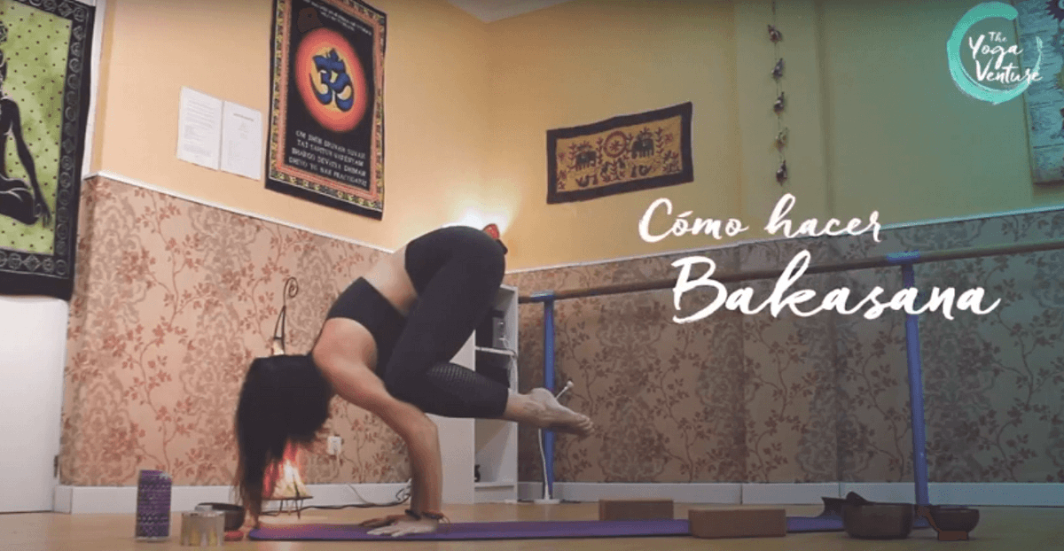 theyogaventure's tweet photo. 🎯Os animamos a practicar yoga con nuestra sección de 👉 Secuencias https://t.co/CMLxTpqRKe
Videotutoriales y secuencias enfocadas a trabajar algo en concreto ¿te animas?
#tutorialyoga #yogaathome #yogateacher https://t.co/5QKgNaOd8R