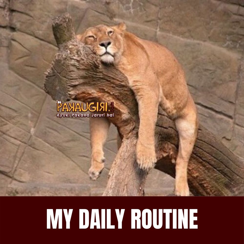 pakaugiri's tweet photo. Are you following any routine in #lockdown3 let us know in the comments...
#beinglazy #lockdown #coronavirus #covid19 #29may #telangana #justforfun #funnypic https://t.co/O720cNmtfz