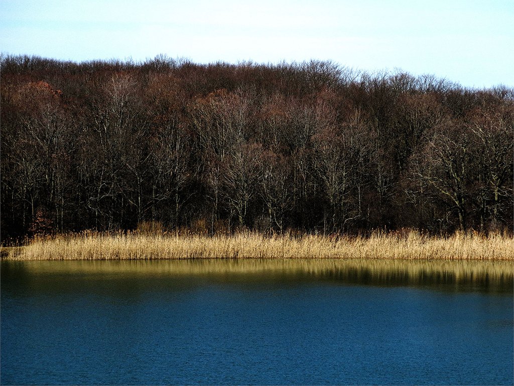 NiagaraRegion's tweet photo. #Niagara Photo of the Week: A spring glow from the Glenridge Quarry Naturalization Site which operated as a municipal landfill site from 1976 to 2001. Thanks for sharing Don Lambert, St. Catharines. https://t.co/bEAqH56pCb