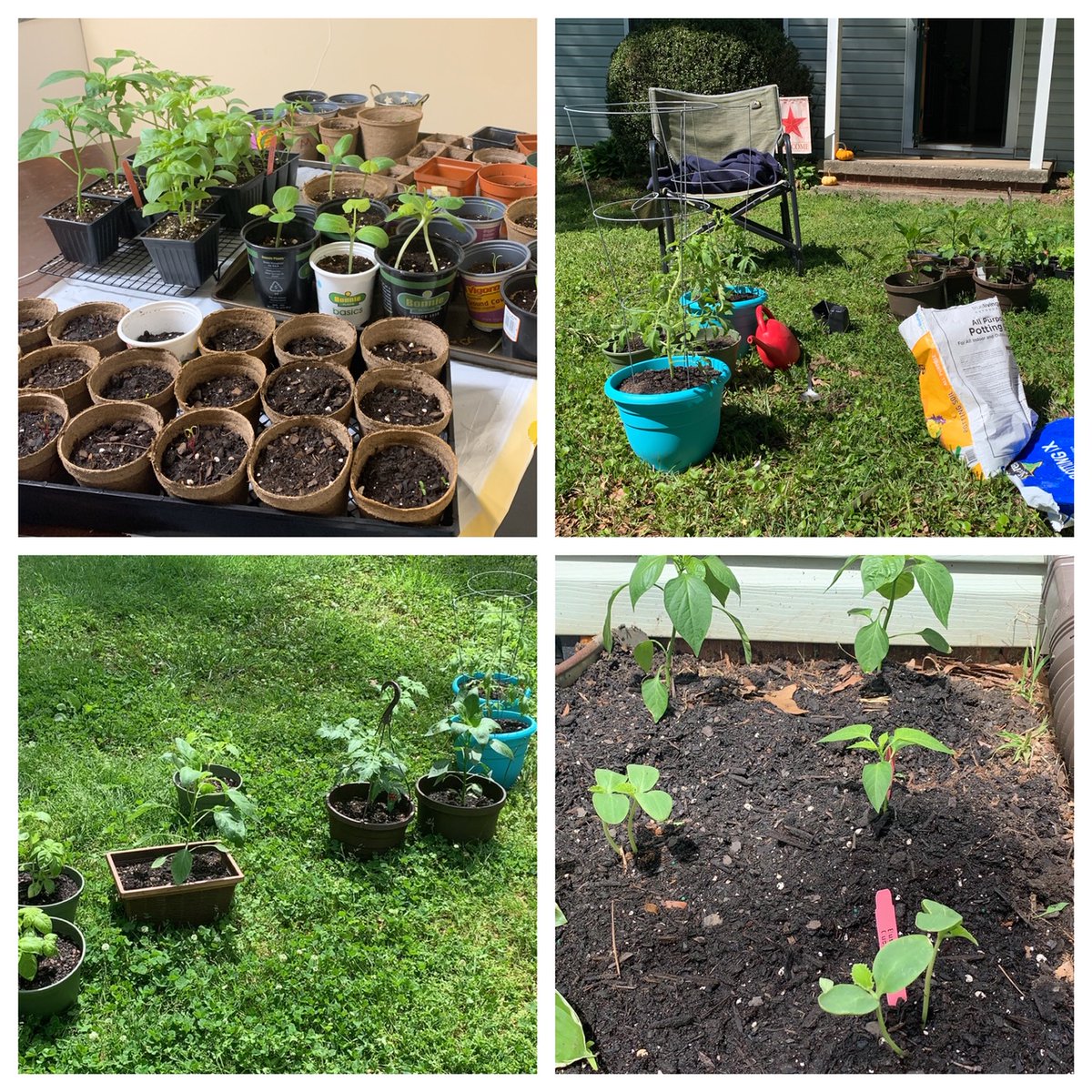 Anyone else trying their hand at gardening?
