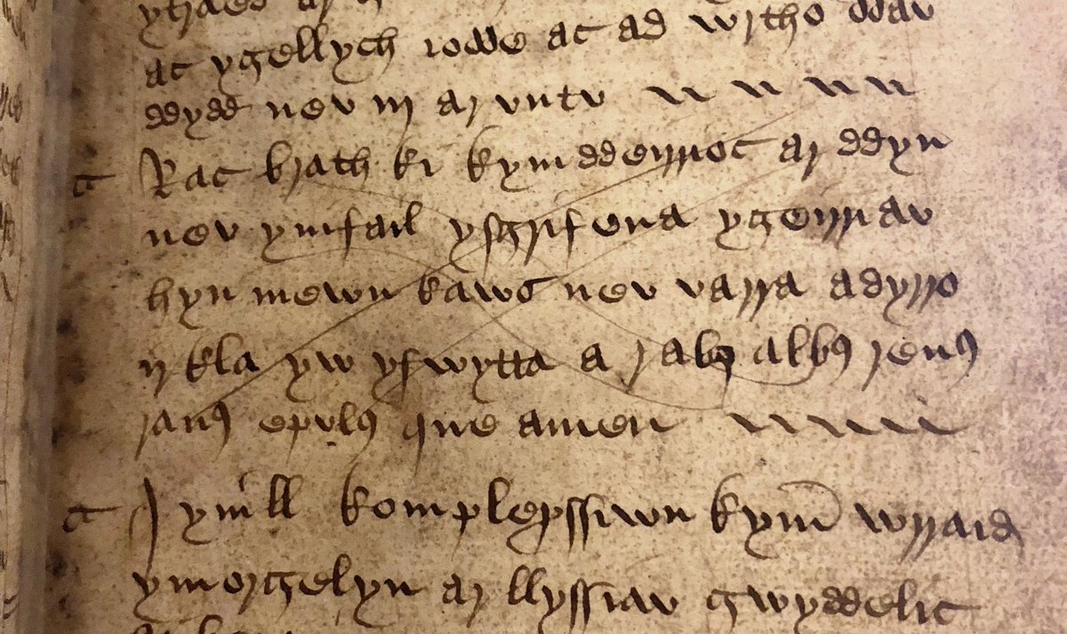 Kate_Leach1's tweet photo. In case you meet a rabid dog on your daily walk, here's a charm (mid 16th c.) to heal a dog bite on a person or animal. Write the efficacious words in cheese or bread and give to the bitten person or animal to eat!  #History #Healing #Welsh #medieval / #earlymodern #manuscript https://t.co/5vrZV5DyOy