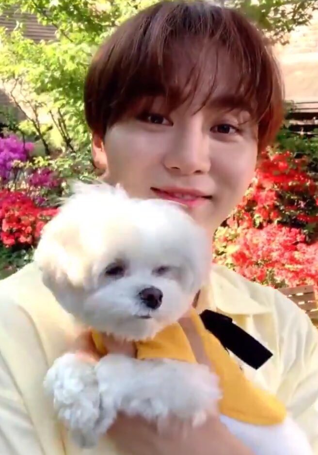 soft seungkwan pics tweet media