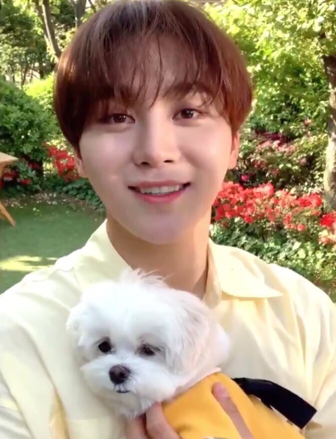 soft seungkwan pics tweet media