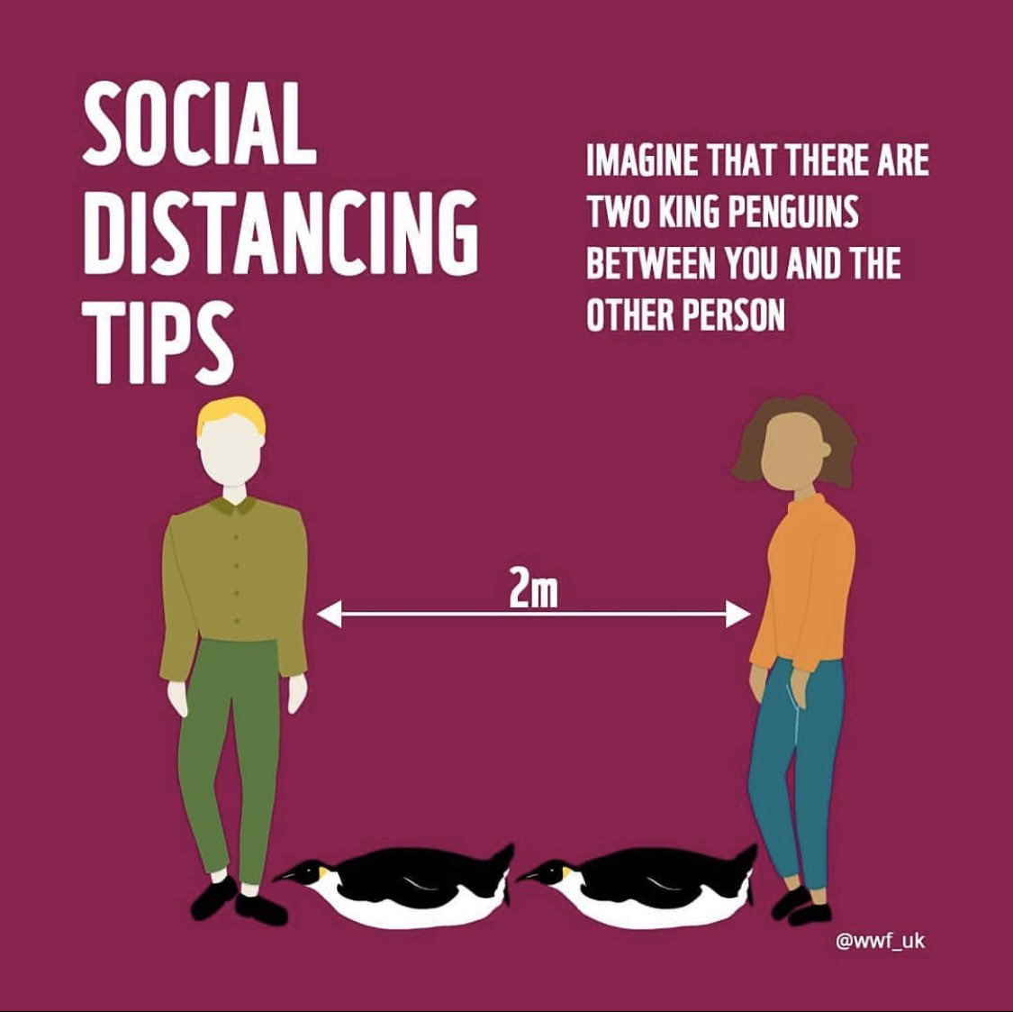 theConcaveCo's tweet photo. Top #socialdistancing tips by @wwf_uk. Stay safe everyone. 
🐧🐧/ 🐼/ 🐢 https://t.co/VPgWede68K