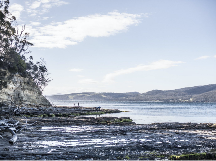 TravelcadeWS's tweet photo. When travelers make the trek to Australia, their sights are set on Sydney and Melbourne. But just off the country’s southern coast, Tasmania is a diamond in the rough. A wild geography of arid, windswept land, rolling vineyards, prehistoric eucalyptic forests and rugged coastline https://t.co/af7JRormfW