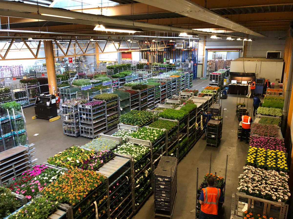 Dat de winkels in Frankrijk en België bijna hun deuren weer kunnen openen, is goed te merken op onze logistieke vestigingen!