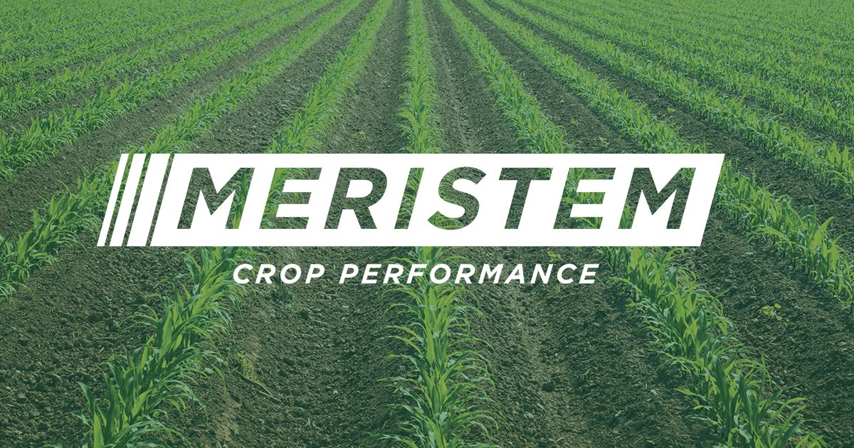 MeristemAg's tweet photo. Meristem Crop Performance, alongside an all-star board of advisors, is ramping up to provide their unique high-quality, no-frills approach to crop input additives to select American farmers. 
Learn more -> https://t.co/zZM4VTs1Mf

#cropperformance #plant20 #farmchat https://t.co/8DsUAcsi6E