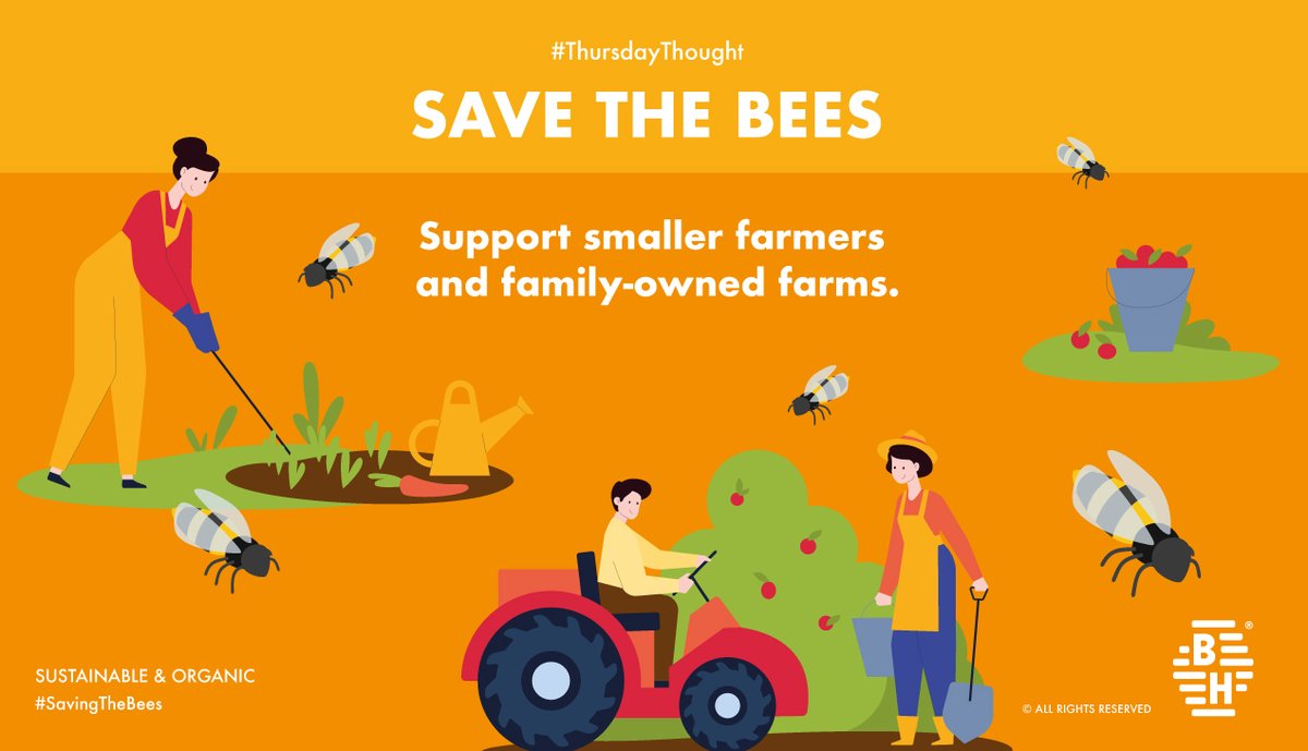 BeehivelyG's tweet photo. According studies the annual global production of food that depends directly on pollination was worth between $235 and $577 billion.
#HappyBeeDay
#BeeMonth
#InternationalBeeDay
#Beehively
#HoneyBees
#SaveTheBee
#SaveThePlanet
#SaveTheWorld
#Earth
#beehivelybees #beehivelygroup https://t.co/nlw551zp6D