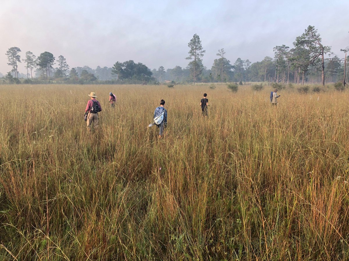 QuaveEthnobot's tweet photo. To my undergraduate &amp; @laneygradschool graduate student researchers in #QuaveLab  and @EmoryHerbarium —I've been amazed by your resilience, your work ethic and your dedication to seeing your projects completed and written up, even from afar. (4/8) https://t.co/leMNus4ilS
