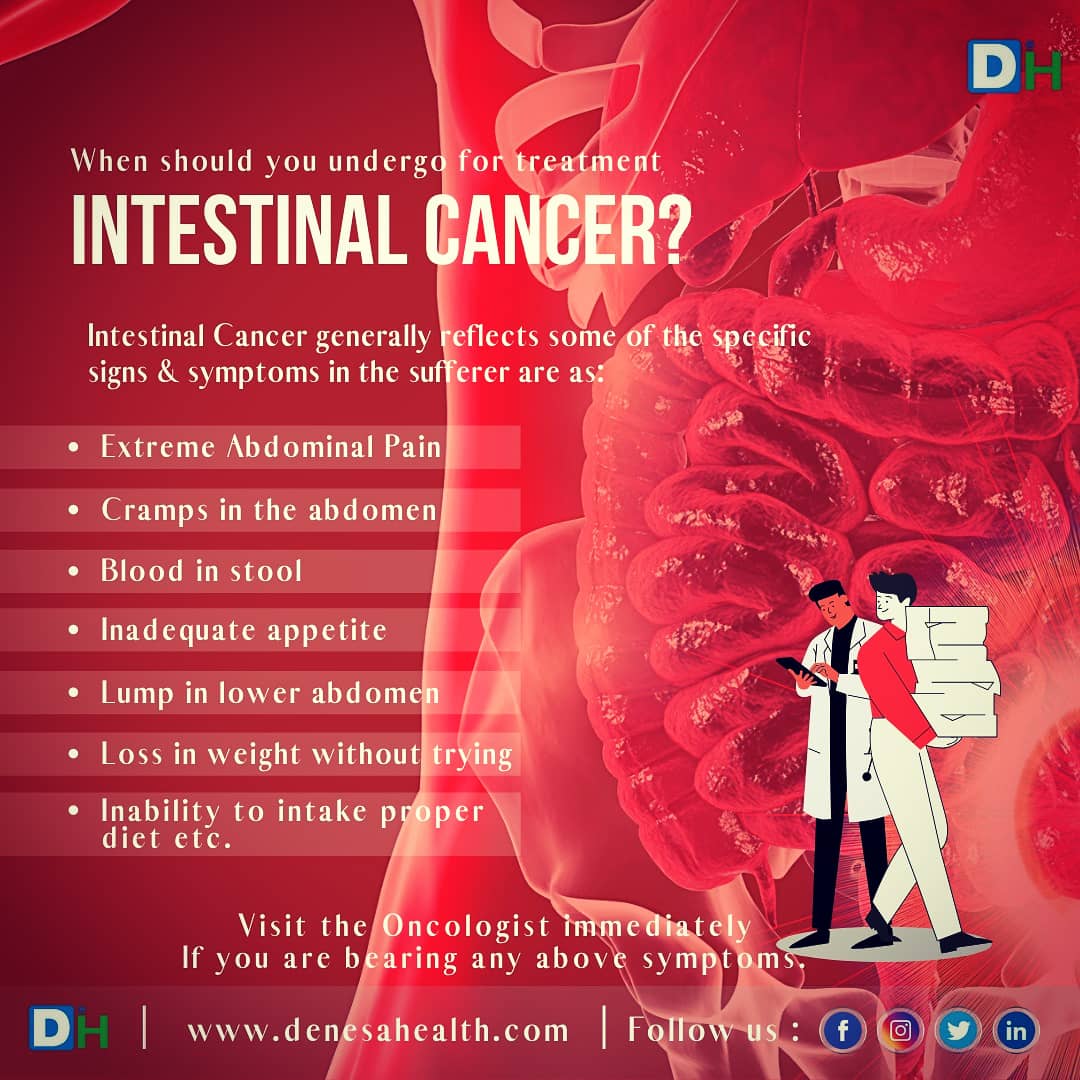 When should you undergo for #IntestinalCancerTreatment?
Anyone who bears the following symptoms must immediately visit the #Oncologist, visit: bit.ly/intestinalCanc…

.
.
.

#IntestinalCancer
#ColonCancerAwareness #ColonCancer #coloncancersupport #coloncancersurvivor
#cancercure