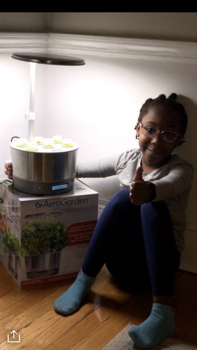 Mrs_Maldonado_'s tweet photo. Martha in 2M gets into our info text google slide presentations by growing her own plant pods with her dad and recording her findings! #elearningfun #unitsofstudy #squadgoals #superdad #inspired @UnalKarakas2 https://t.co/dBxjpJ6mWO