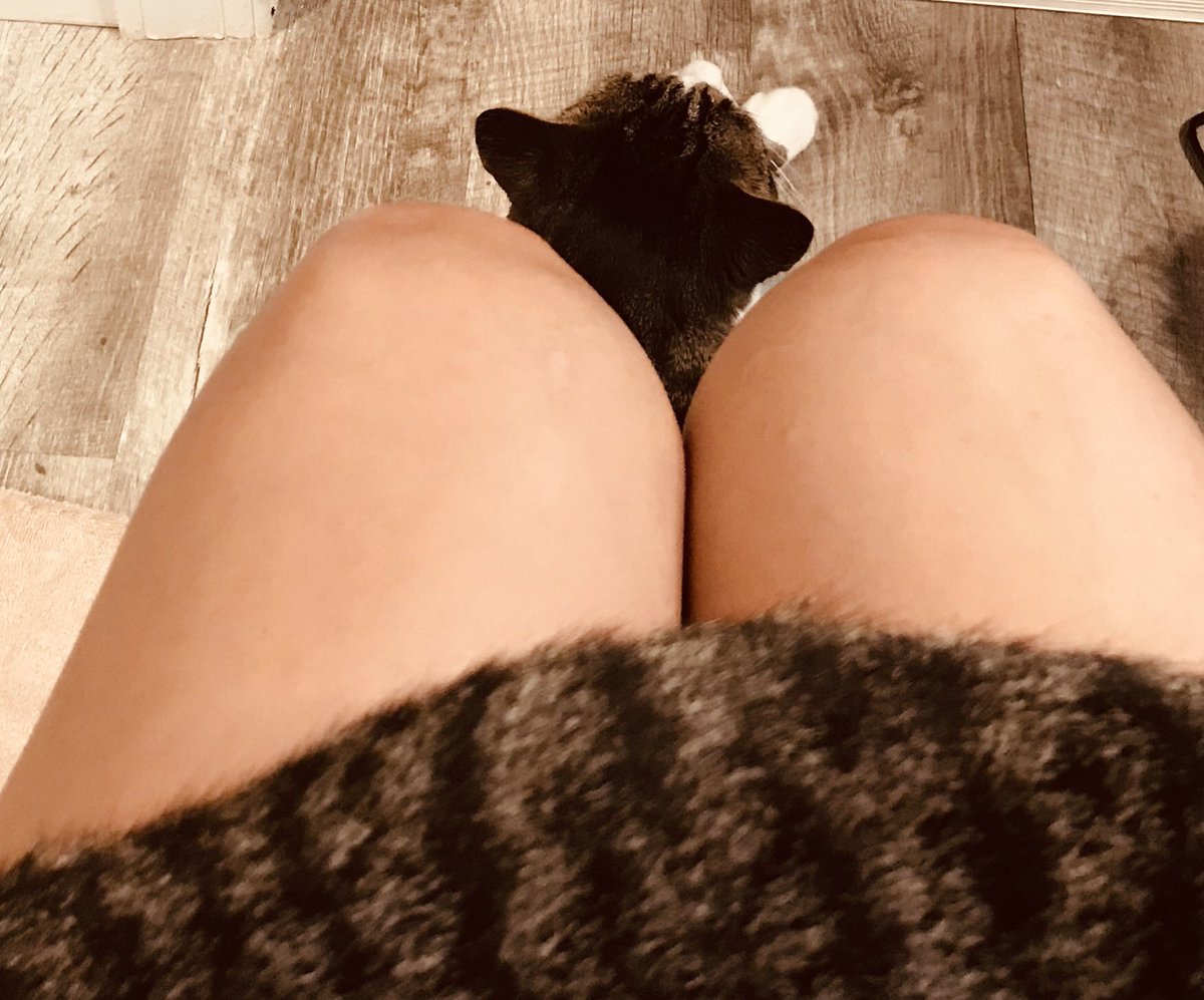 KJagodzinski's tweet photo. These two created the anti-social- distancing coalition. This is what happens when you attempt to use the bathroom #privacyproblems https://t.co/XXW1Vv3QbN
