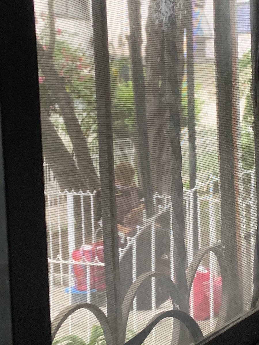 PandiDrogui's tweet photo. Cuidado con esta señora que vende en la Unidad Plateros, ella y él muchacho con quien viene se ven muy enfermos tosen mucho y estornudan, a hasta sobre la comida he visto lo hacen. #AlvaroObregon #Covid_19 #coronavirus @DenunciaAOCDMX https://t.co/QKFokP2Ak1