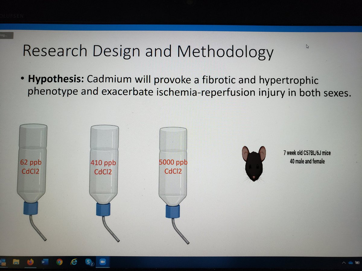 JohnsHopkinsEHE's tweet photo. Research will investigate whether Cadmium will provoke a specific changes in the heart ~Michael Fitch, an ScM student presents his proposed study https://t.co/TgobtaXlya
