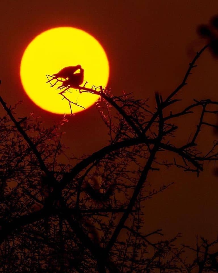 SafarisUganda's tweet photo. There is really magic in travel
We await to experience this magical charm with you on yet another memorable Safari in the #PearlOfAfrica
#TravelTomorrow
#VisitUganda
#FairyLand with lasting memories
#GreatLakesSafaris #BestTravelPartner https://t.co/Nbl3c7xK8I