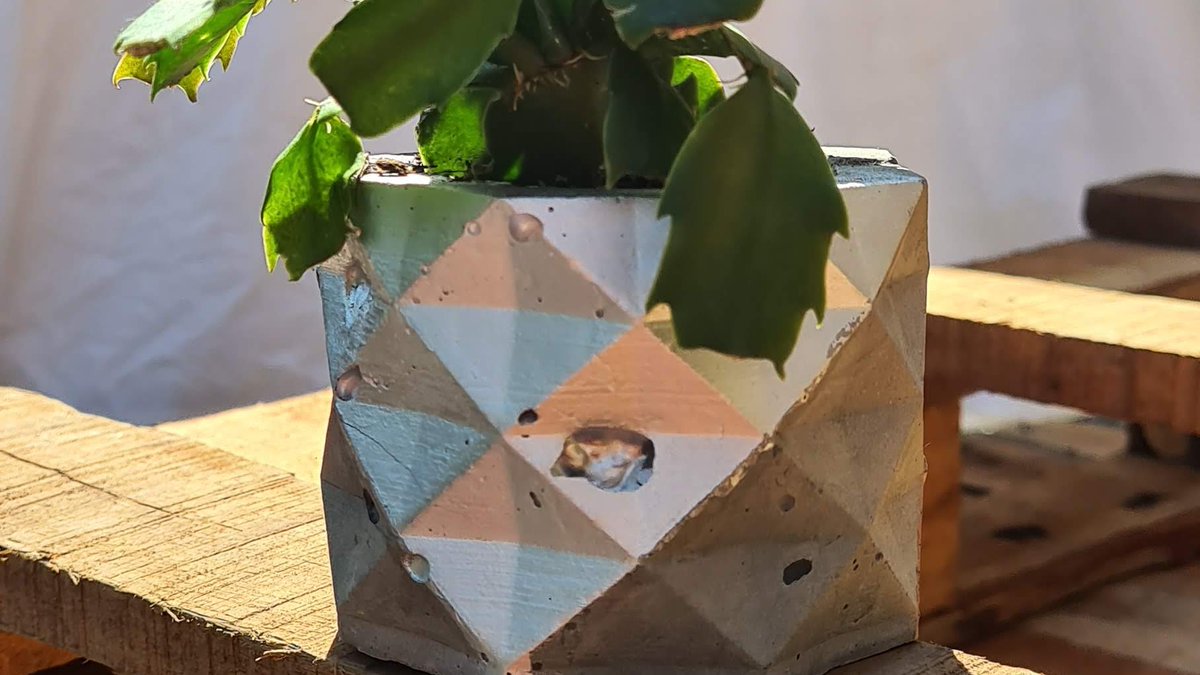 GrapheneHack's tweet photo. Getting in the #graphenehack spirit - how to make a concrete cactus pot using #3Dprinting ! What #DIY have you been doing this lockdown? https://t.co/EAApmEN5I3