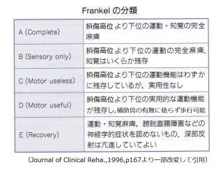 フランケル 分類