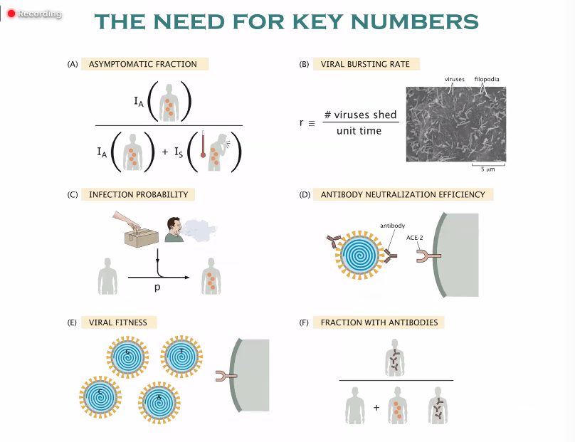 WormlockHolmes's tweet photo. The 1st #CovidGyan webinar by Rob Philips @Caltech, host @thattai. 

Mentions John Snow w/ his histogram of cholera deaths, imp &amp; ongoing w/ #COIVD19.

Biology by numbers: asymptomatic faction, infection probability, neutralizing efficiency, viral fitness etc to beat #COVID19 https://t.co/8nLnfaYMxF